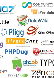 Content Management Systems and Their SEO Integrations