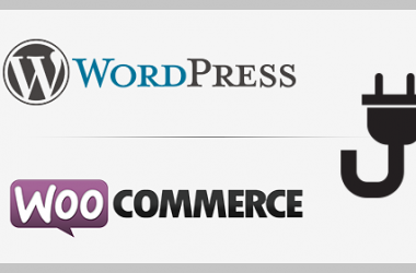 WooCommerce Ecommerce wordpress